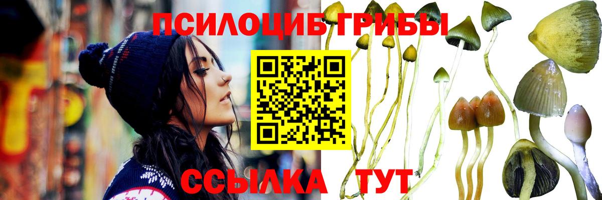 Галлюциногенные грибы мухоморы  Галлюциногенные грибы MAGIC MUSHROOMS  Вход с VPN  Тольятти 